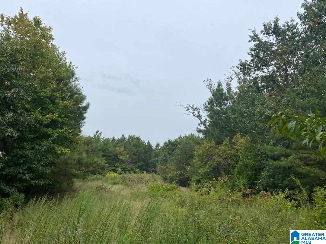 0 Tucker Mountain Road, Unit 40 Remlap, AL 35133 - Photo 1 of 7