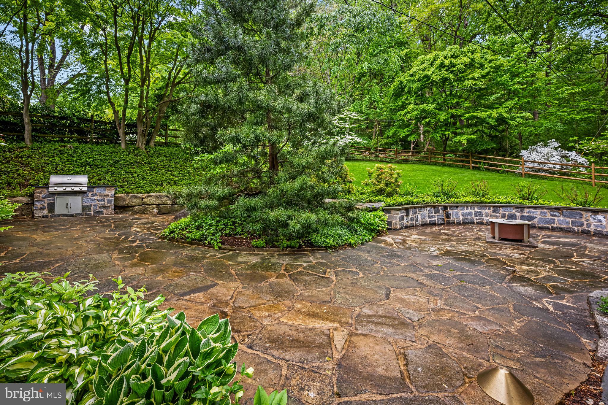 401 Edgevale Road Baltimore, MD 21210 - Photo 15 of 80 Stone Terrace