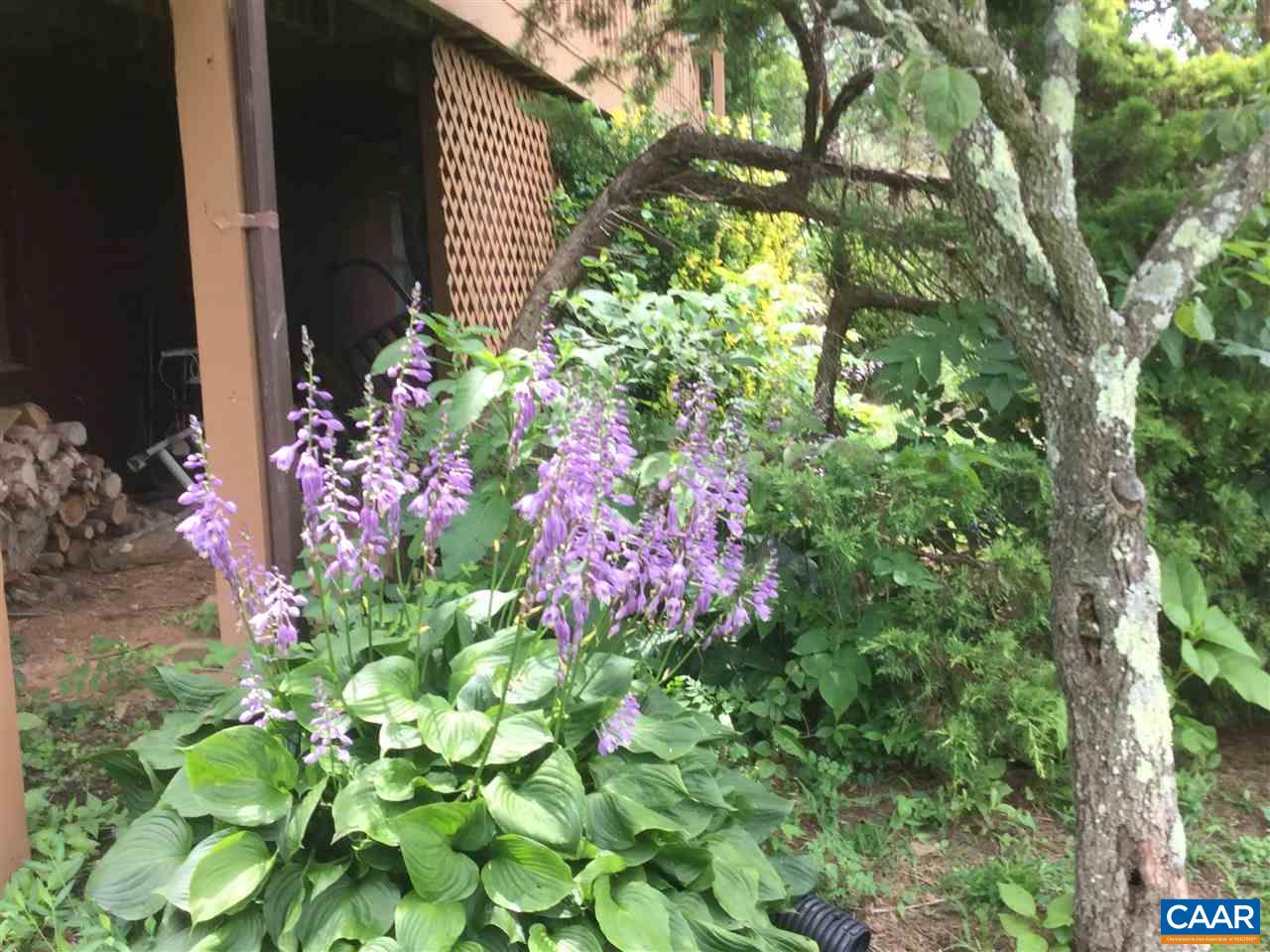 374 Pine Bluff Road Ruckersville, VA 22968 - Photo 17 of 24 a small yard with flowers