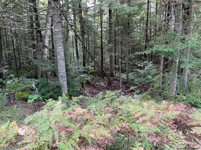 $49,000 | 684 Lower Detroit Road, Plymouth, ME 04969