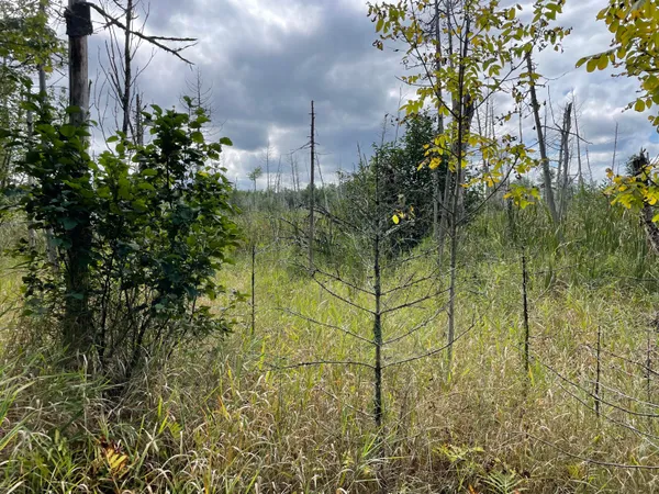 $18,000 | 684 Lower Detroit Road, Plymouth, ME 04969