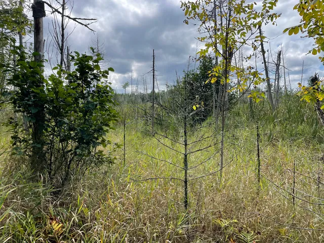 $49,000 | 684 Lower Detroit Road, Plymouth, ME 04969