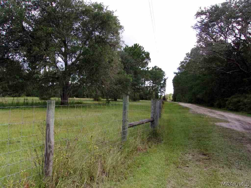 2037 Iron Bridge Road Samson, AL 36477 - Photo 35 of 36 Curve going out