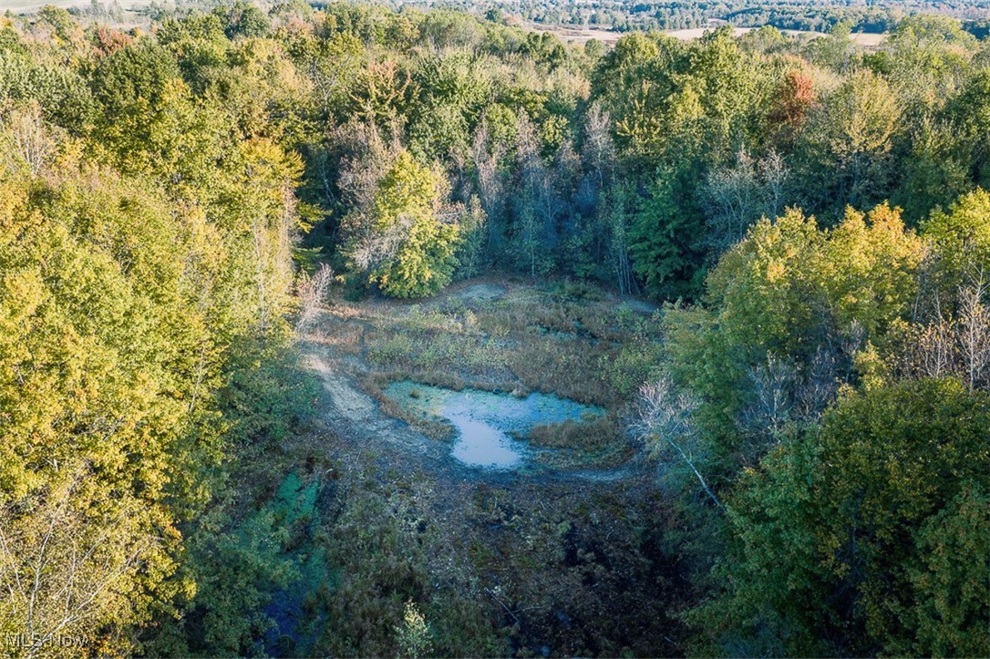 Youngstown Salem Road Salem, OH 44460 - Photo 13 of 18 Bird's eye view of a heavily wooded area