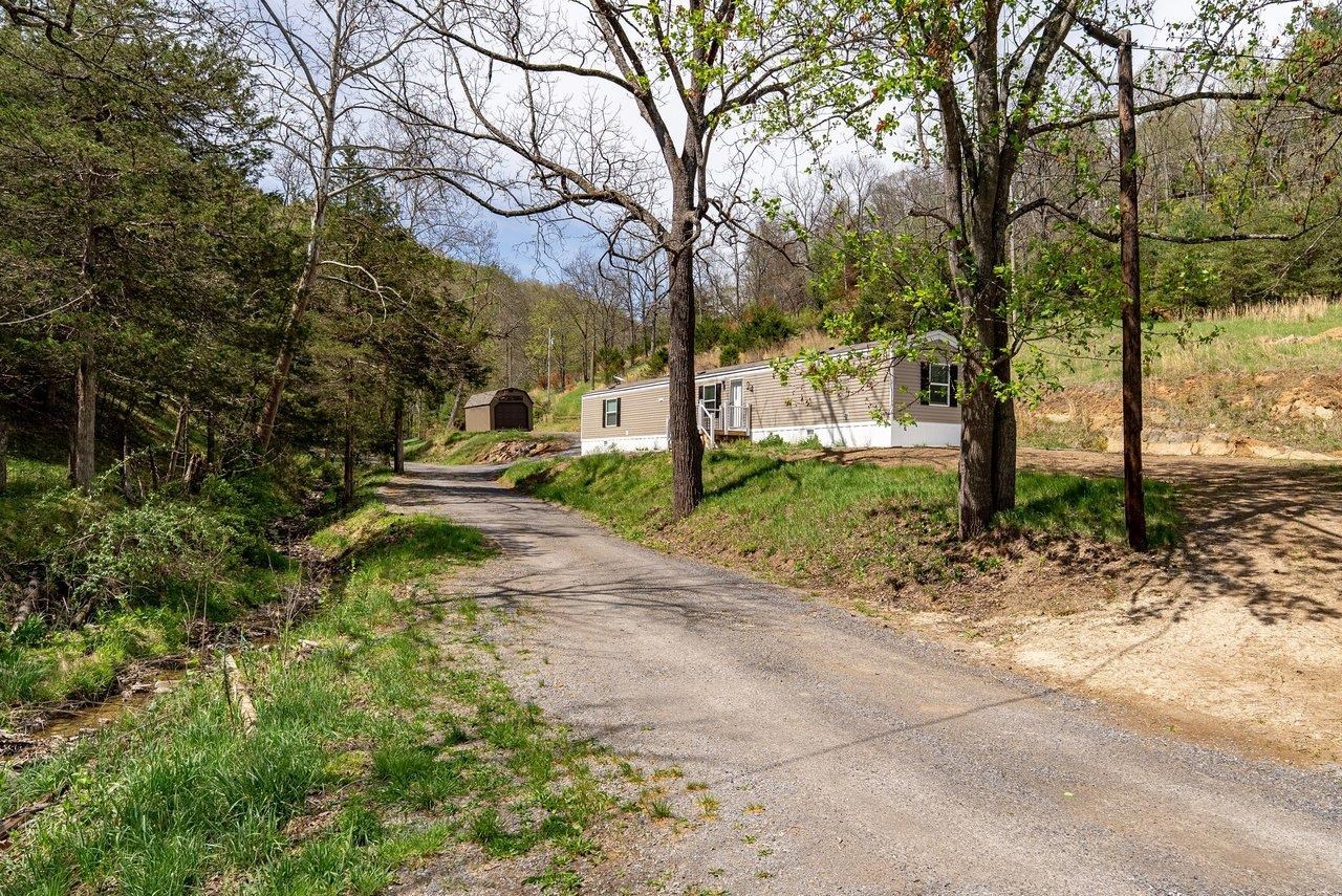 24 Co Rte 10/2 Franklin, WV 26807 - Photo 47 of 66 a view of a yard with plants and trees