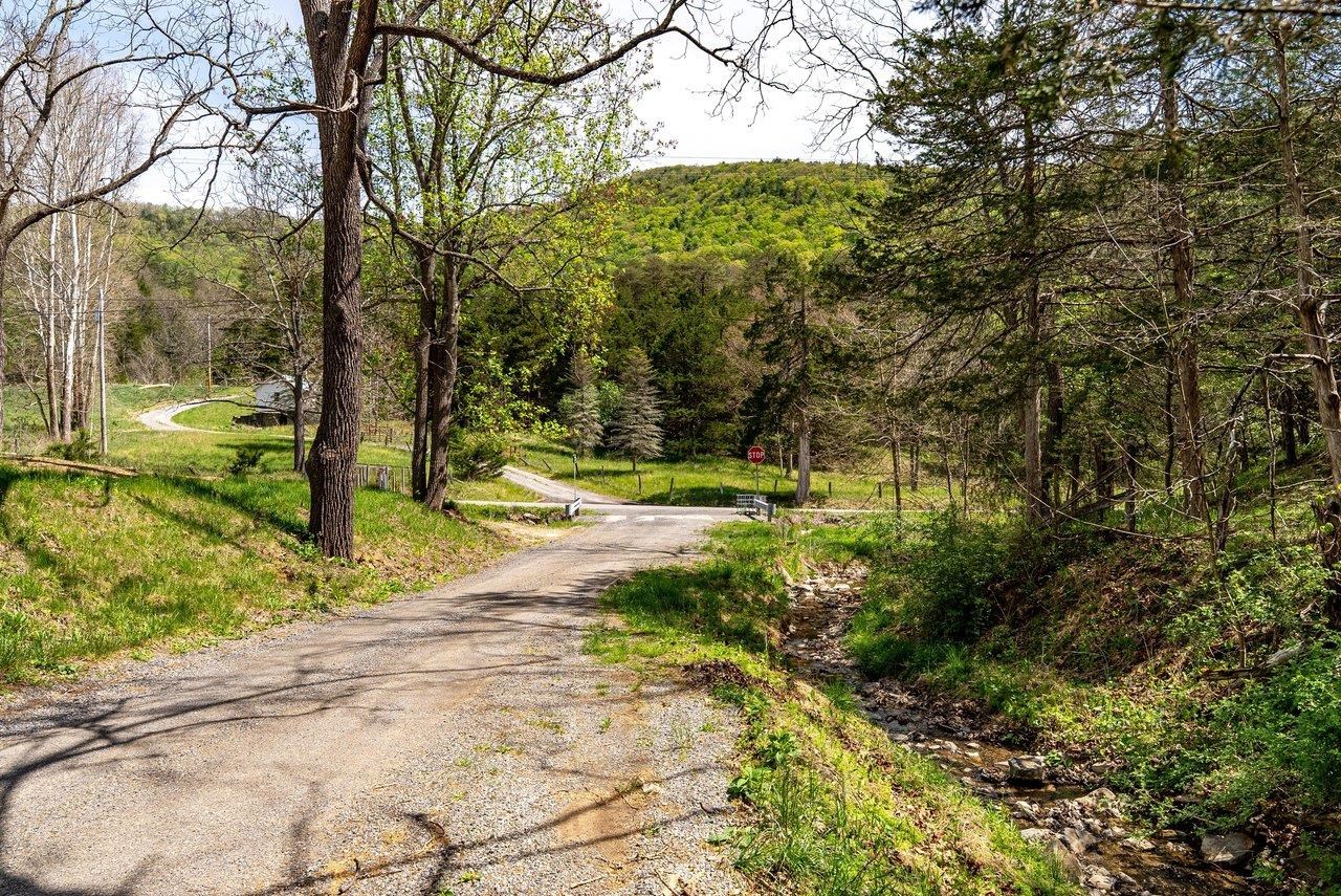 24 Co Rte 10/2 Franklin, WV 26807 - Photo 59 of 66 a view of yard with green space