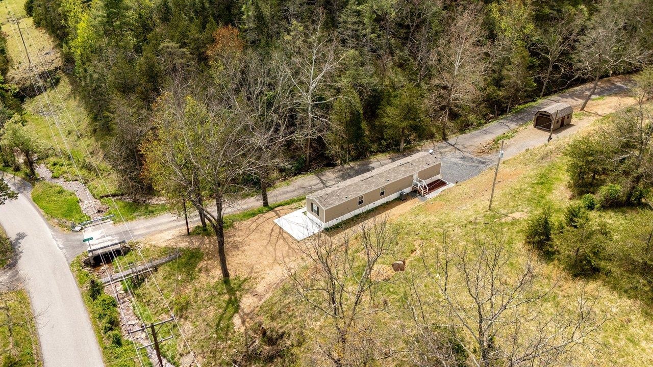 24 Co Rte 10/2 Franklin, WV 26807 - Photo 60 of 66 a view of under a large tree