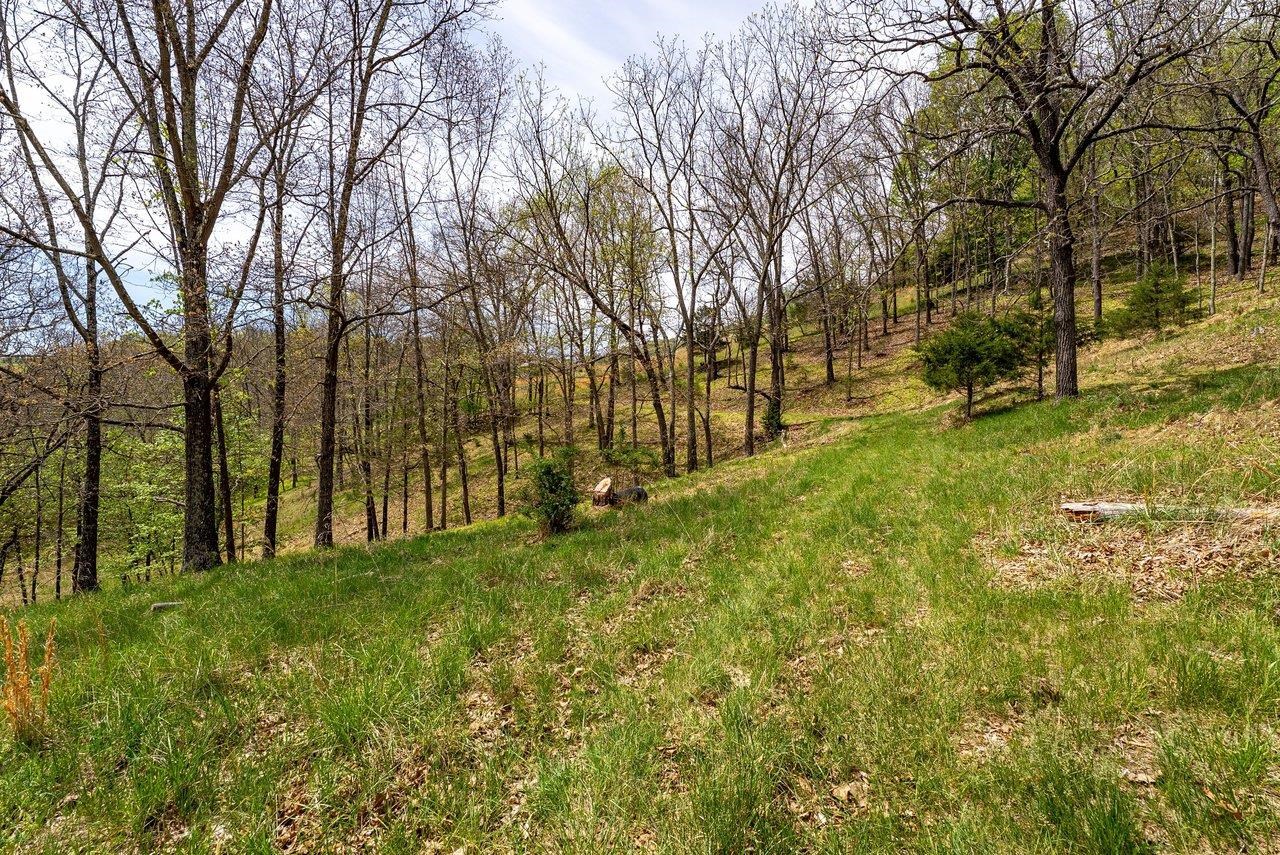 24 Co Rte 10/2 Franklin, WV 26807 - Photo 64 of 66
