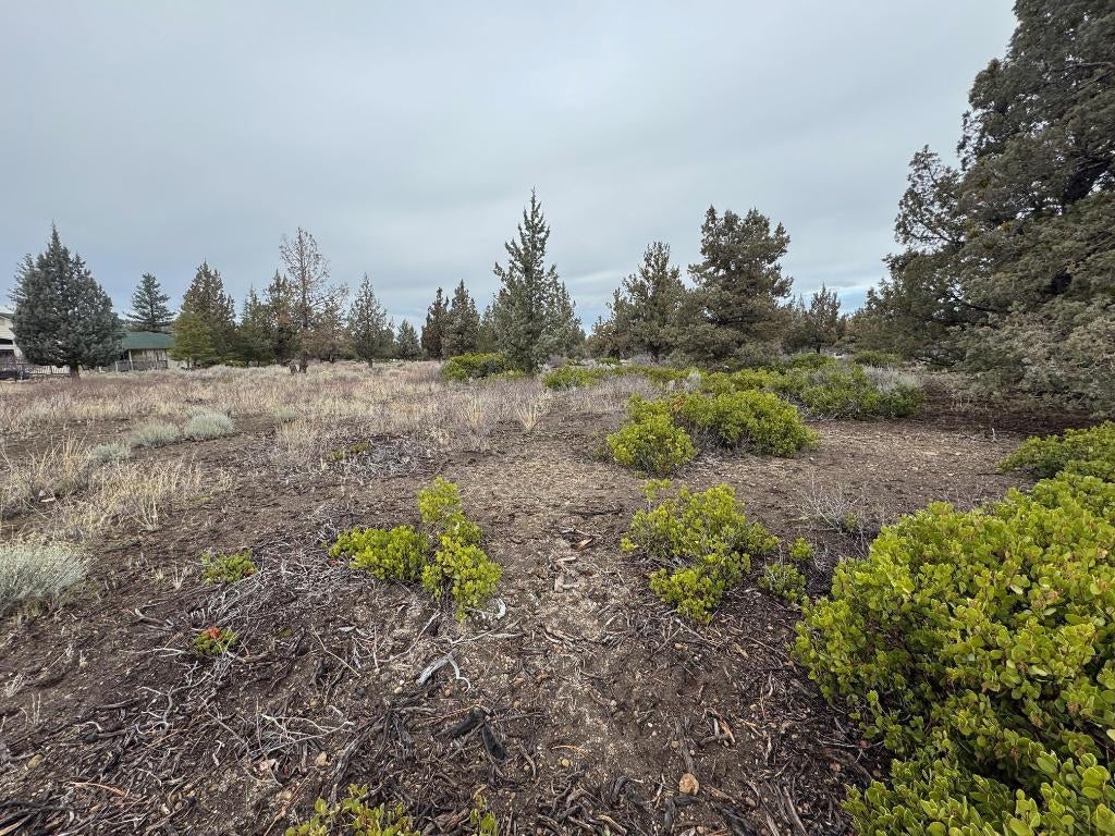 8-1 Unt Road Weed, CA 96094 - Photo 3 of 29 Gallery Image 3