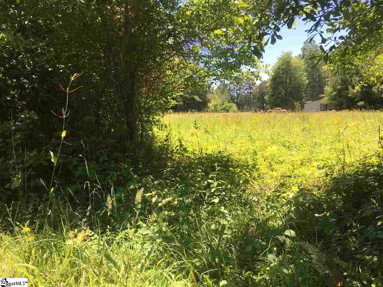 1805 Edwards Road Woodruff, SC 29388 - Photo 5 of 12