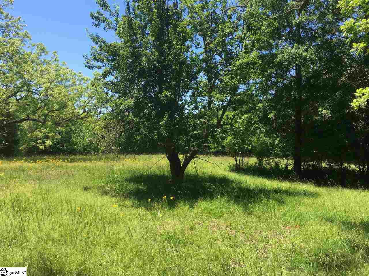 1805 Edwards Road Woodruff, SC 29388 - Photo 7 of 12