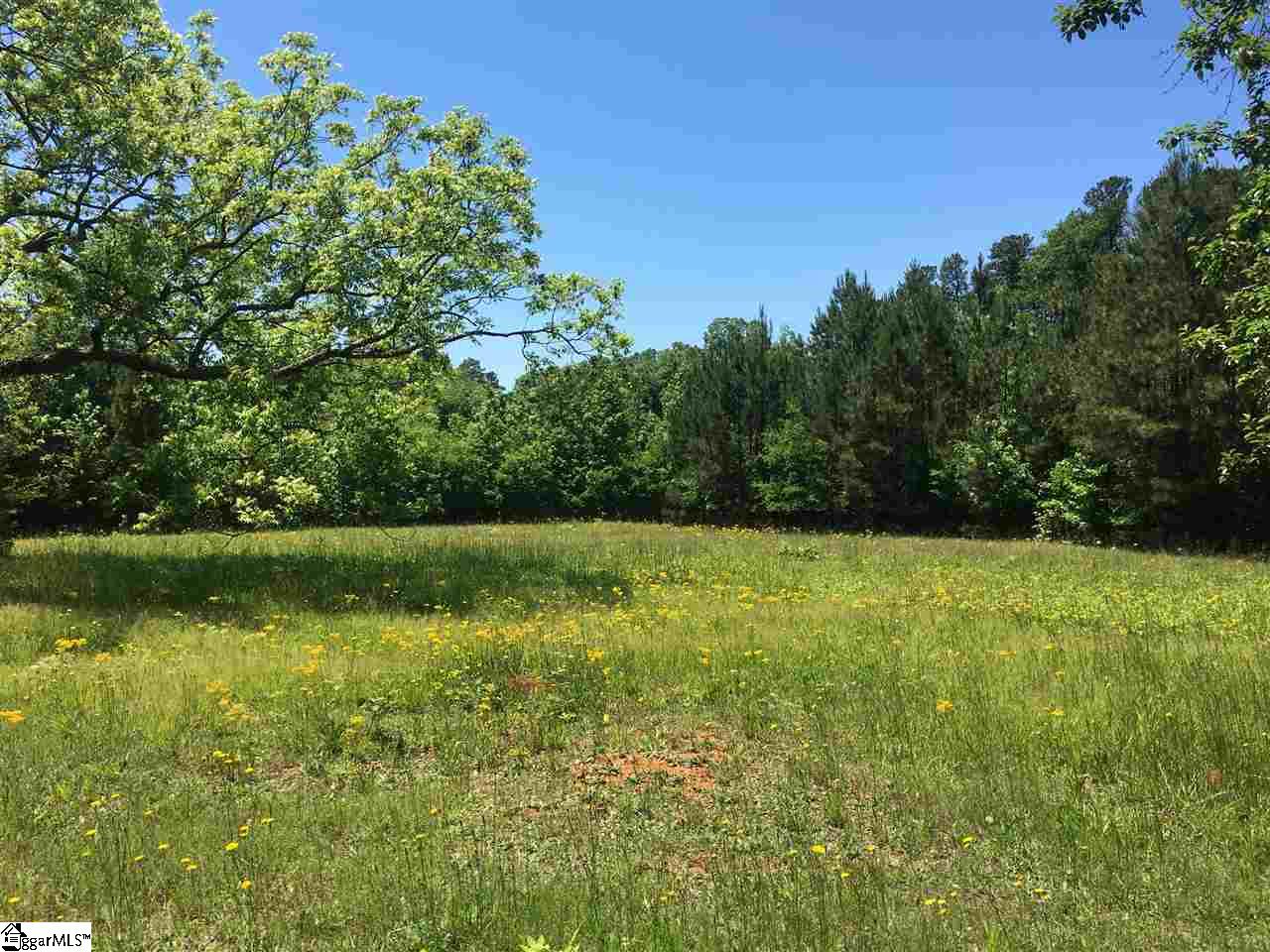 1805 Edwards Road Woodruff, SC 29388 - Photo 8 of 12