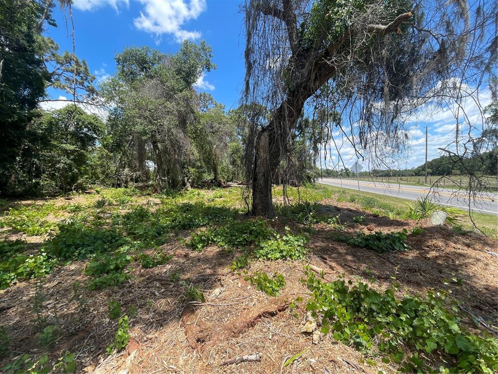 42 County Road Umatilla, FL 32784 - Photo 2 of 8