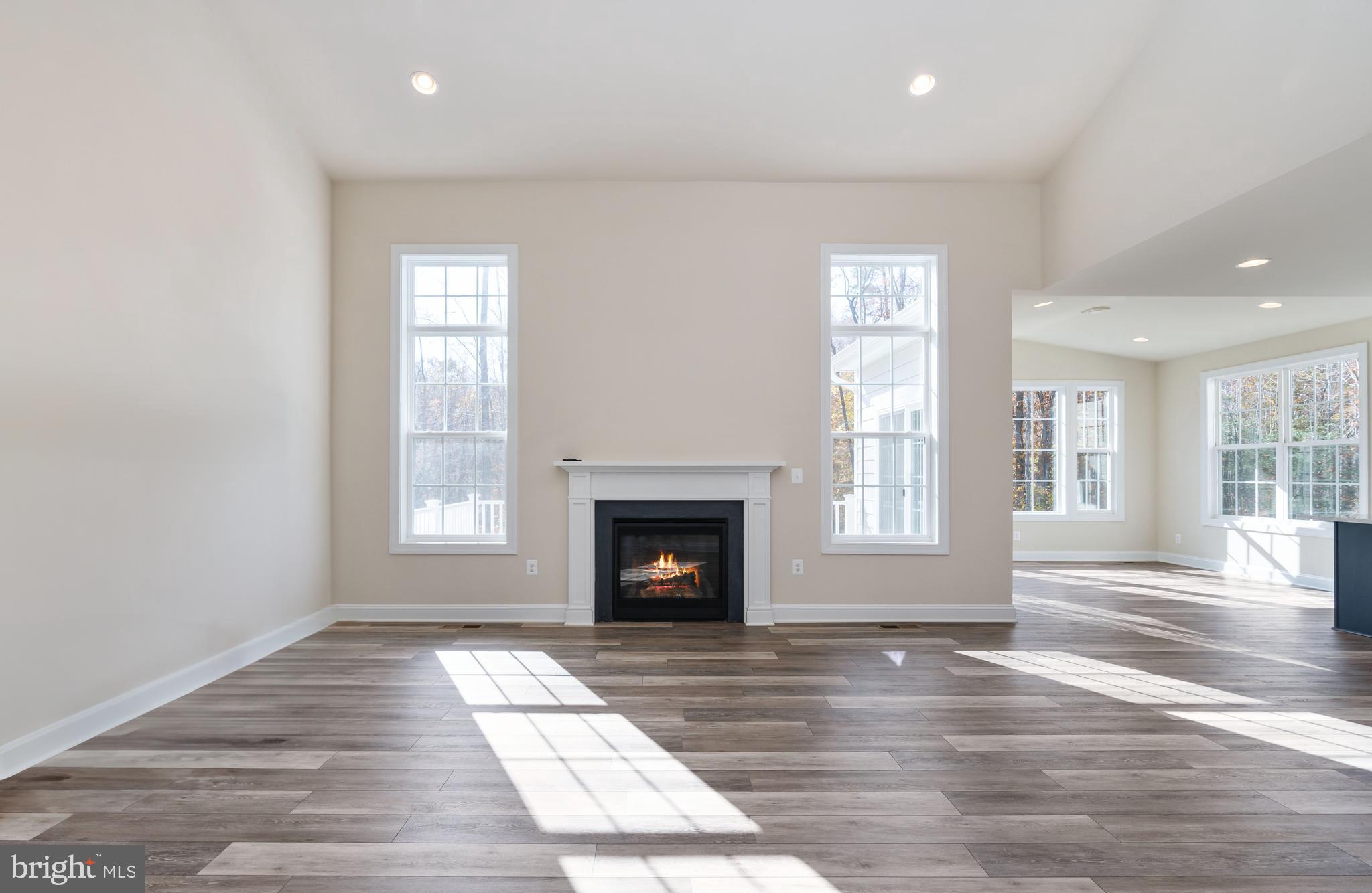 214 Kellan Drive Fredericksburg, VA 22406 - Photo 13 of 81 Great Room