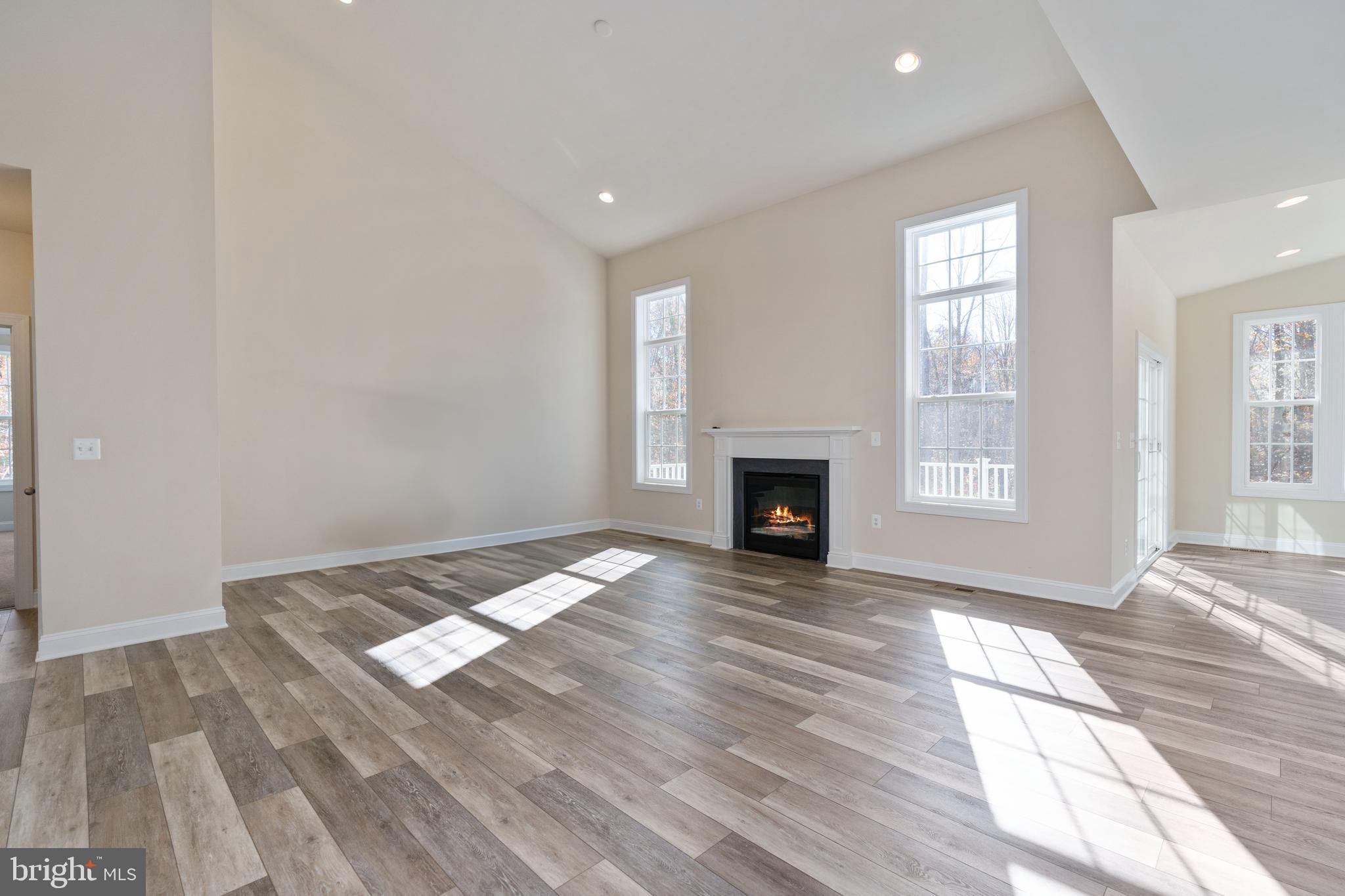 214 Kellan Drive Fredericksburg, VA 22406 - Photo 14 of 81 Vaulted ceiling in expansive great room