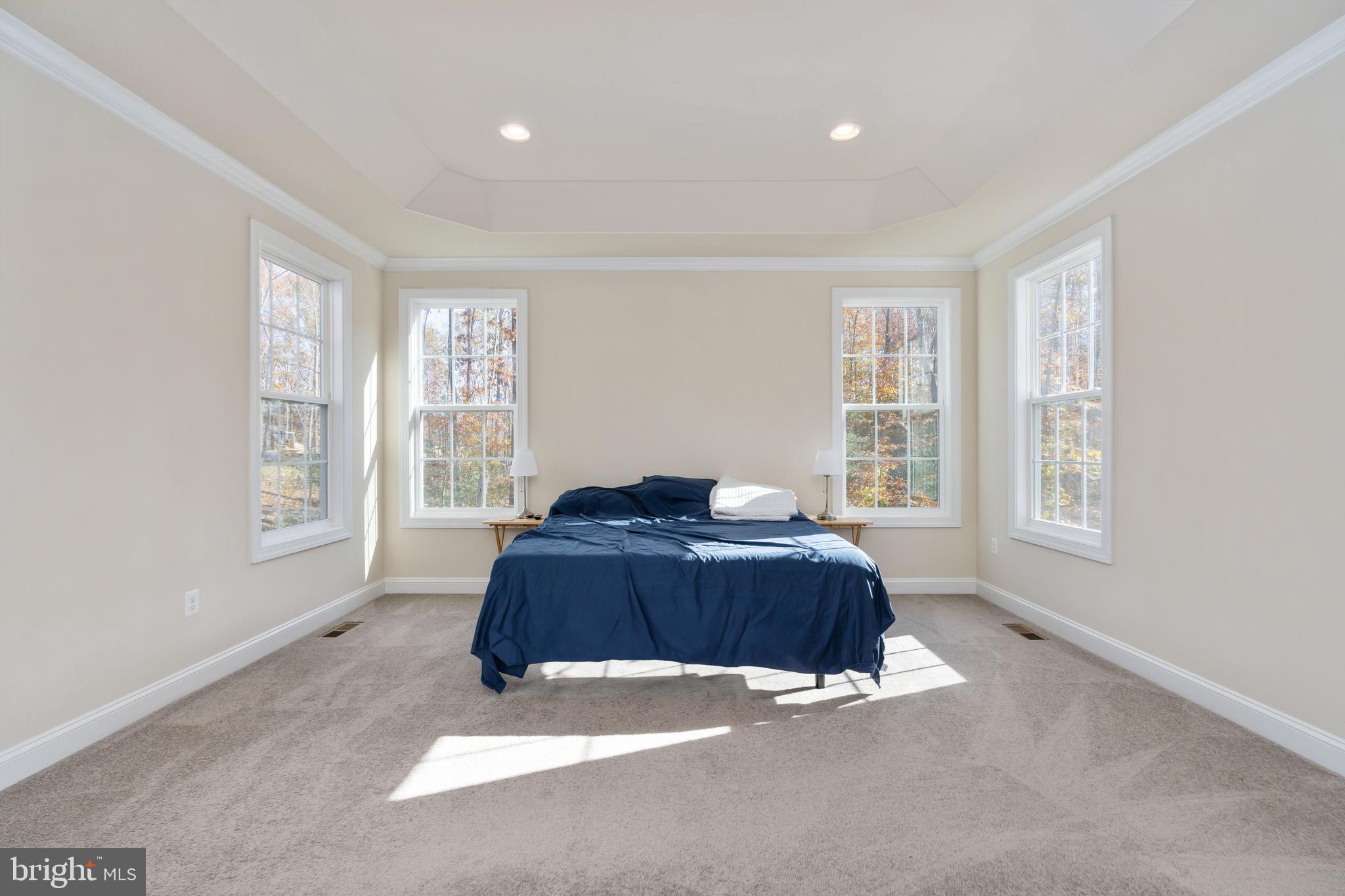 214 Kellan Drive Fredericksburg, VA 22406 - Photo 31 of 81 So much natural light