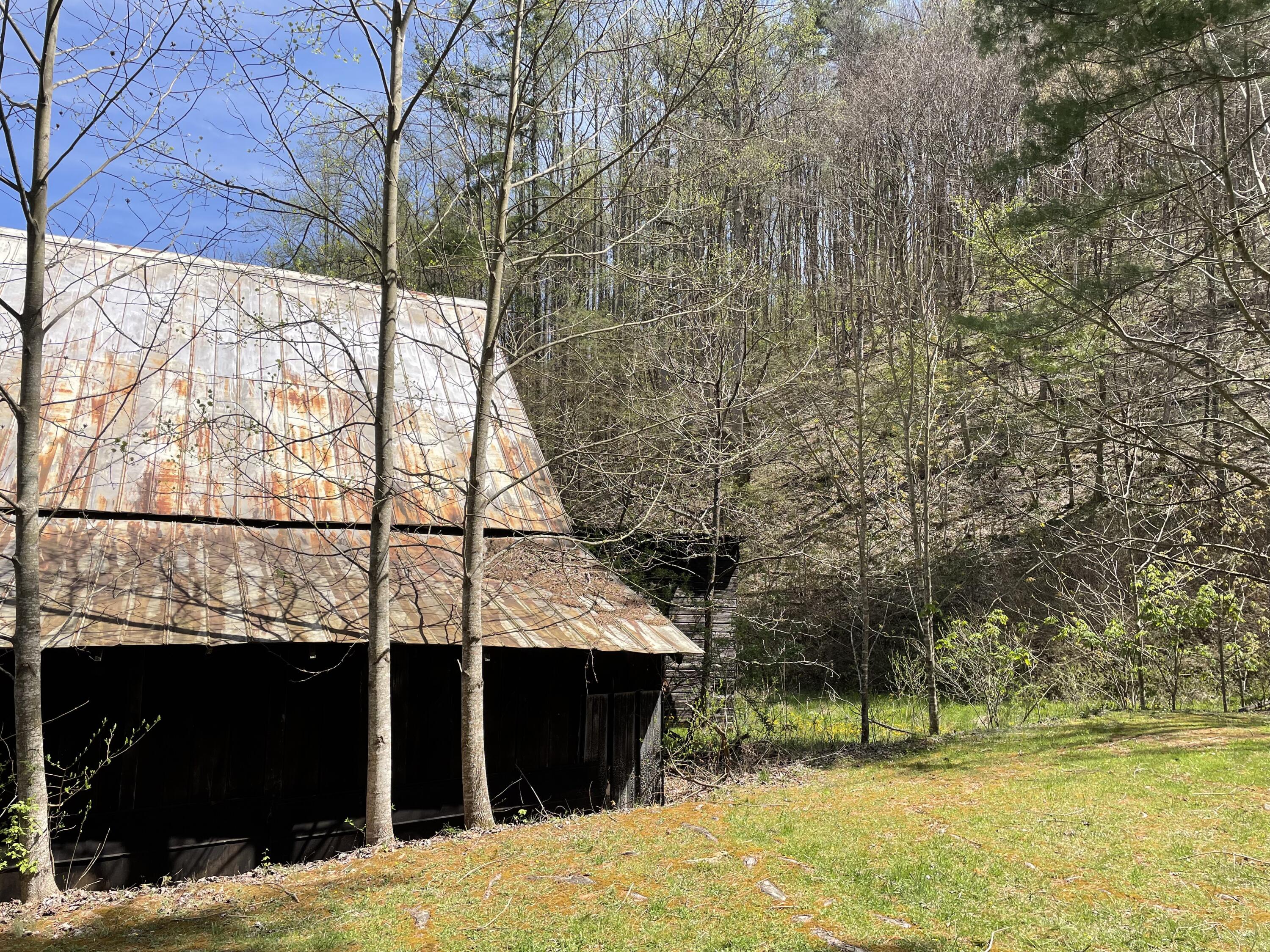 Tbd Gentry Mountain Road, Unit 1 Erwin, TN 37650 - Photo 5 of 10 C8B6F90D-563F-4388-B225-B1FA88E2A1F3