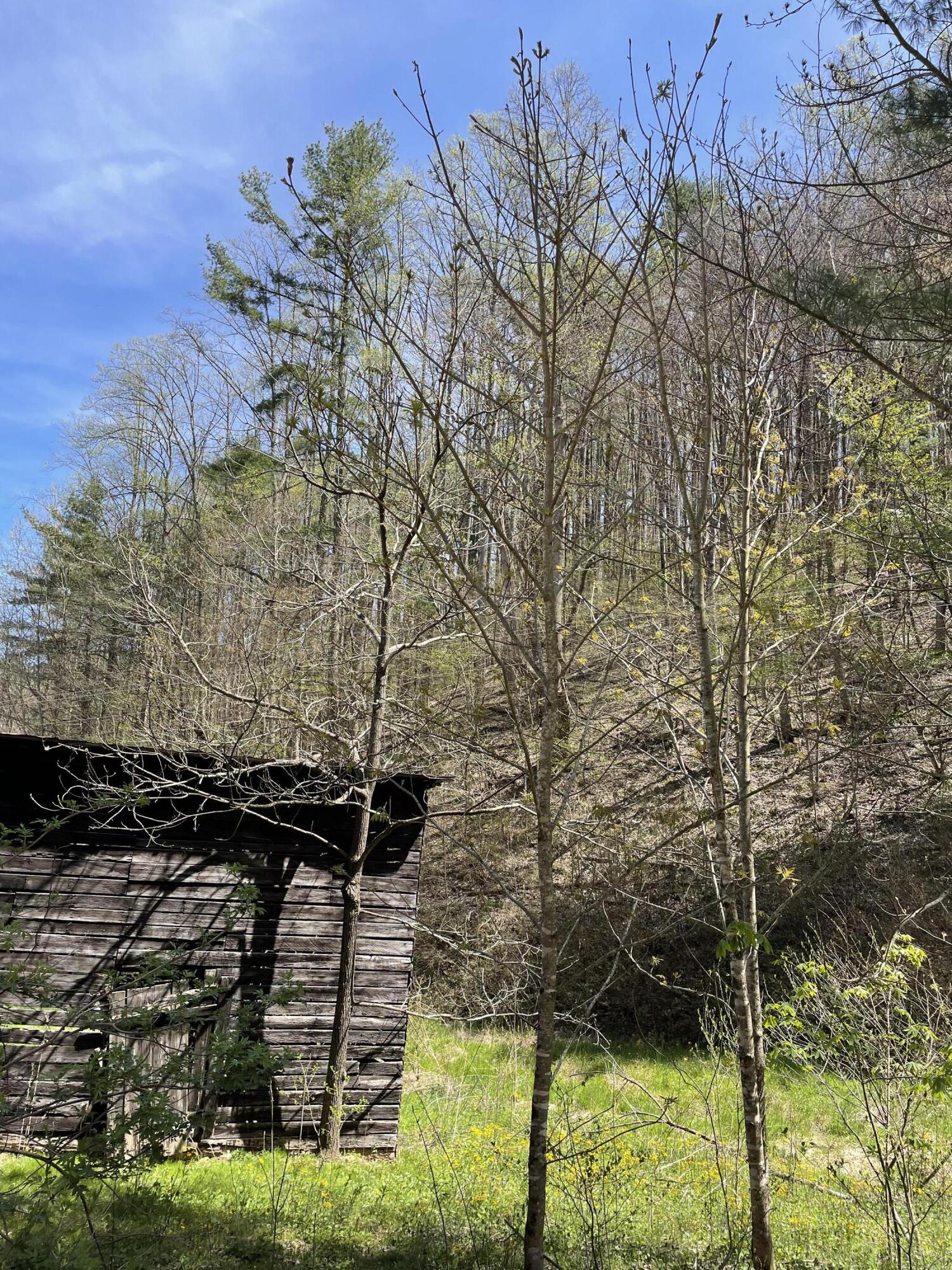 Tbd Gentry Mountain Road, Unit 1 Erwin, TN 37650 - Photo 7 of 10 D457BD99-BE52-4C3F-BB6E-522846AC9E05