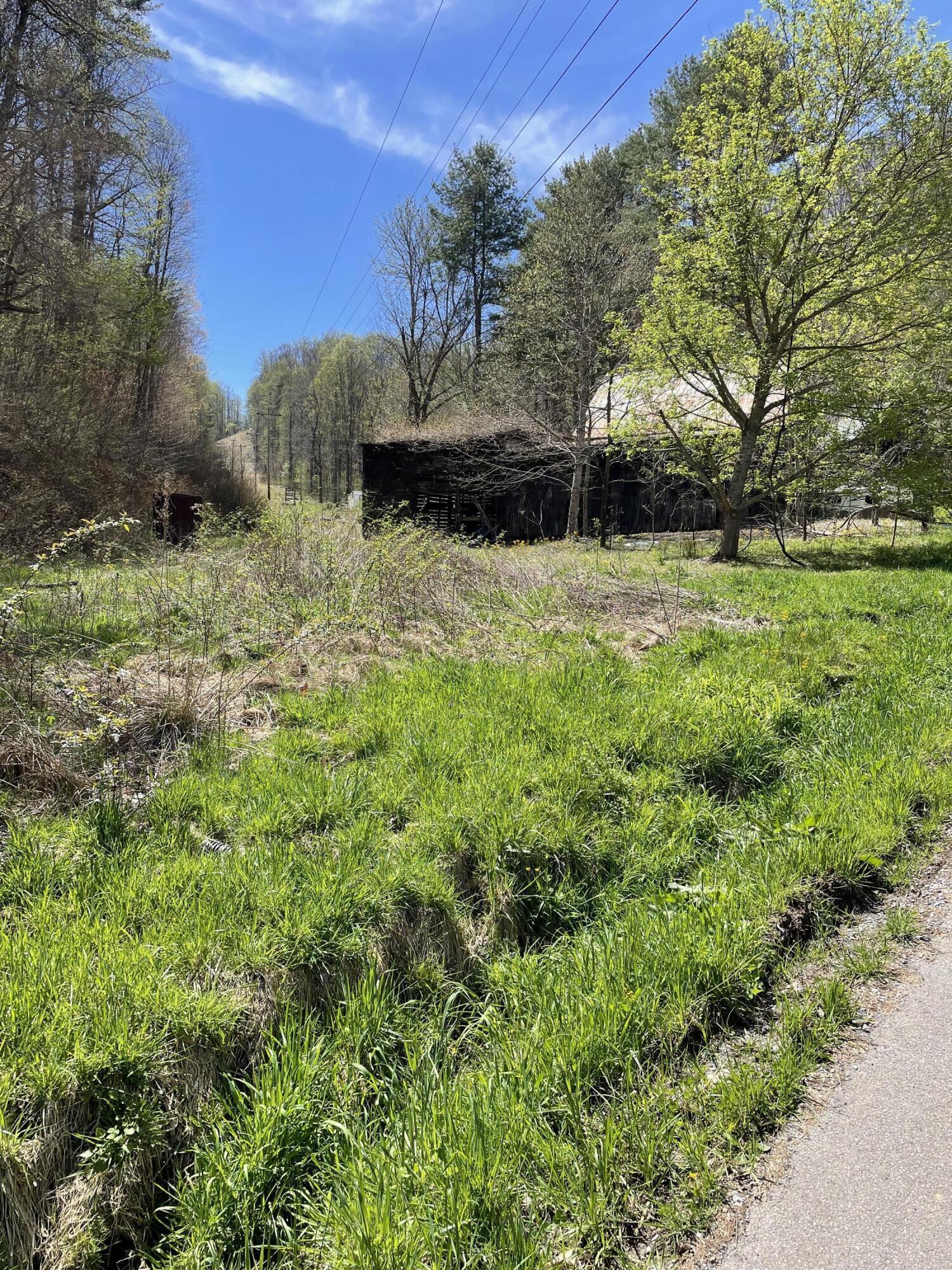 Tbd Gentry Mountain Road, Unit 1 Erwin, TN 37650 - Photo 8 of 10 3FDF8720-71E5-4400-89A0-569C15936D39