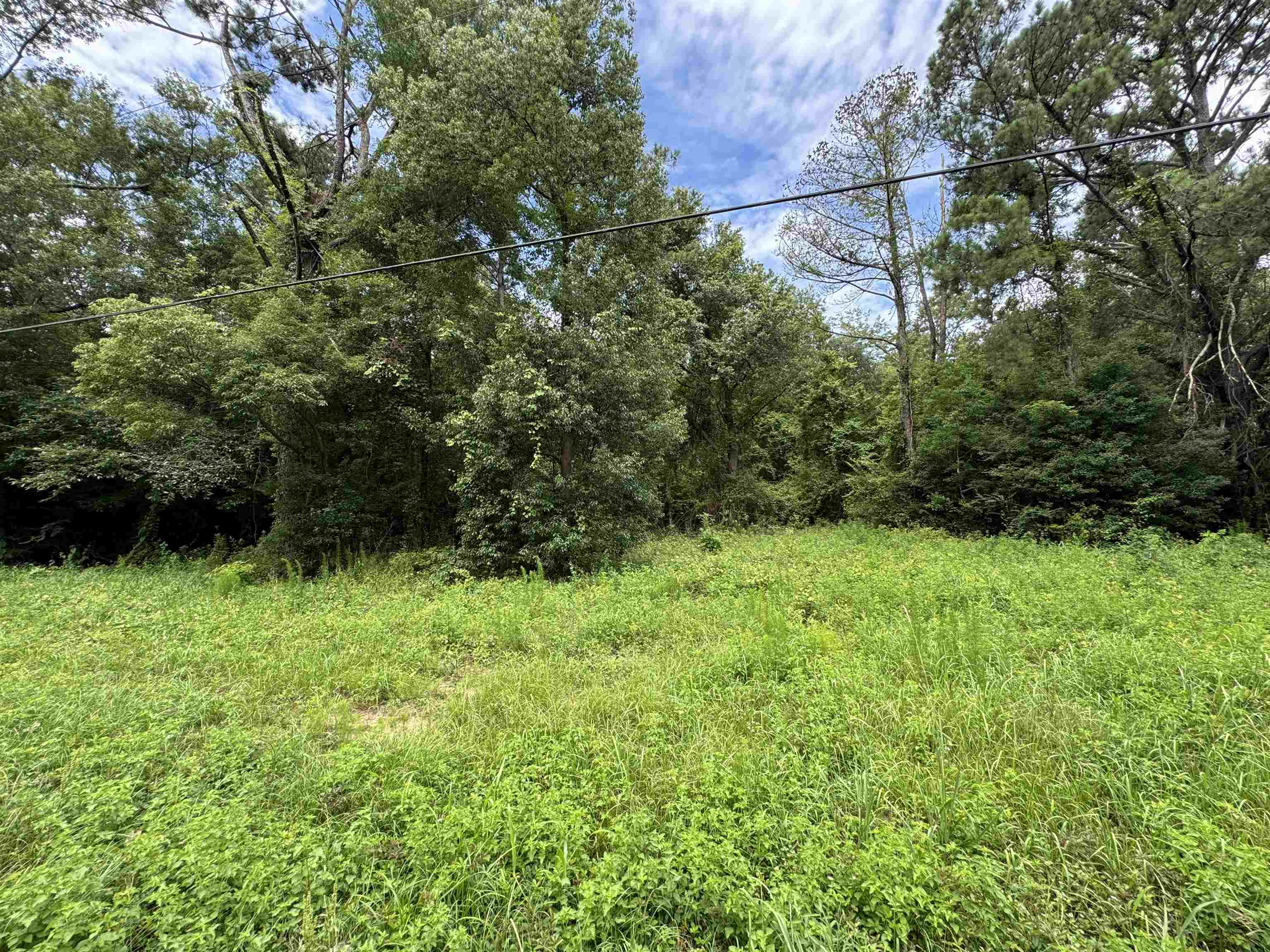 0 Sherwood Highland Road Fairhope, AL 36532 - Photo 5 of 5