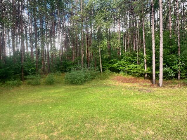 5989 River Road Manistee, MI 49660 - Photo 50 of 59 IMG_6421