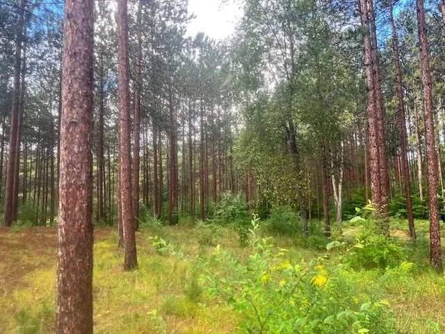 $485,000 | 5989 River Road, Manistee, MI 49660