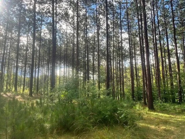 $485,000 | 5989 River Road, Manistee, MI 49660