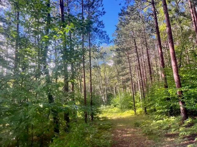 $485,000 | 5989 River Road, Manistee, MI 49660