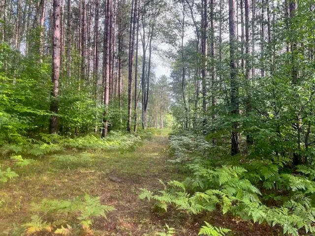 $485,000 | 5989 River Road, Manistee, MI 49660