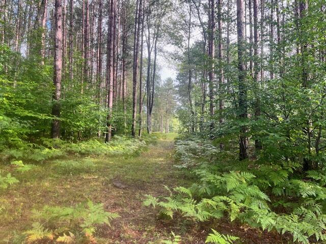 5989 River Road Manistee, MI 49660 - Photo 55 of 59 IMG_6478