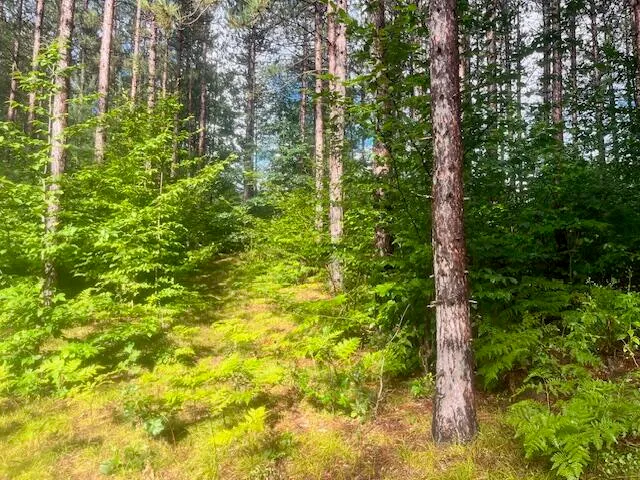 $485,000 | 5989 River Road, Manistee, MI 49660