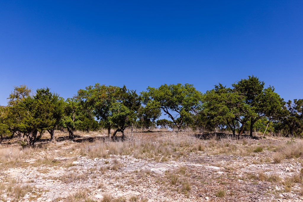 0 Pawnee Path Hunt, TX 78024 - Photo 11 of 32 a view of a field with trees in background