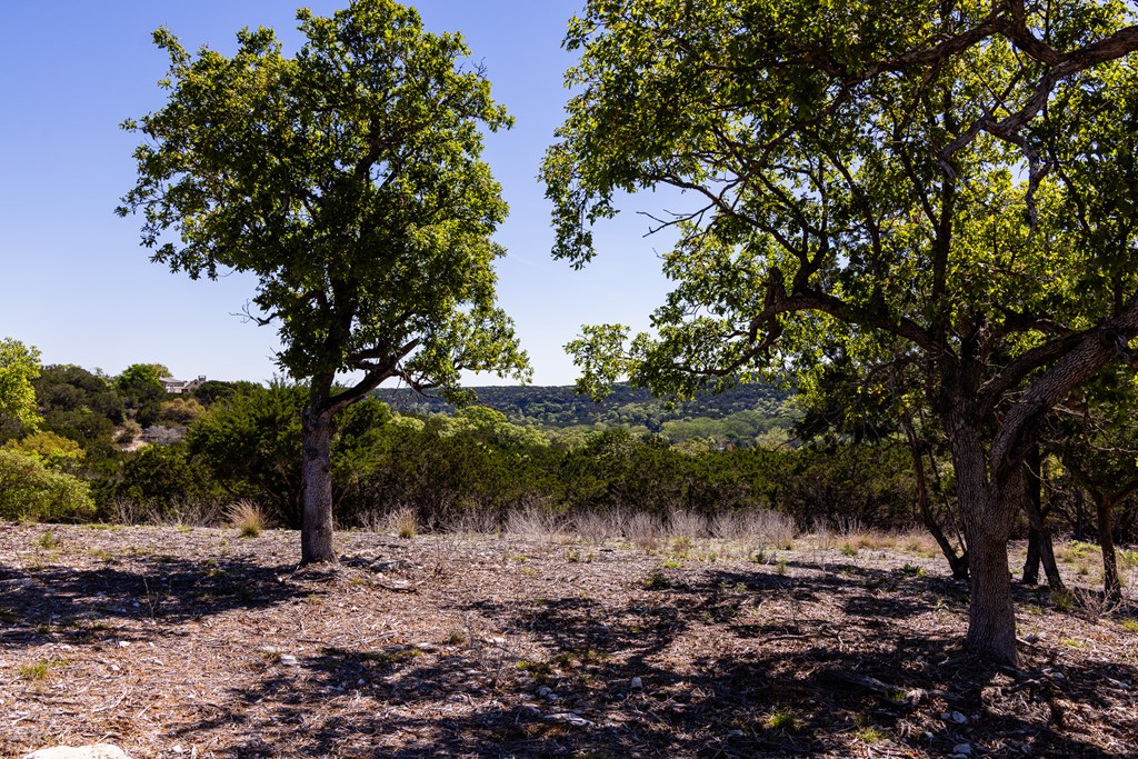 0 Pawnee Path Hunt, TX 78024 - Photo 13 of 32 a view of a lake with lots of trees