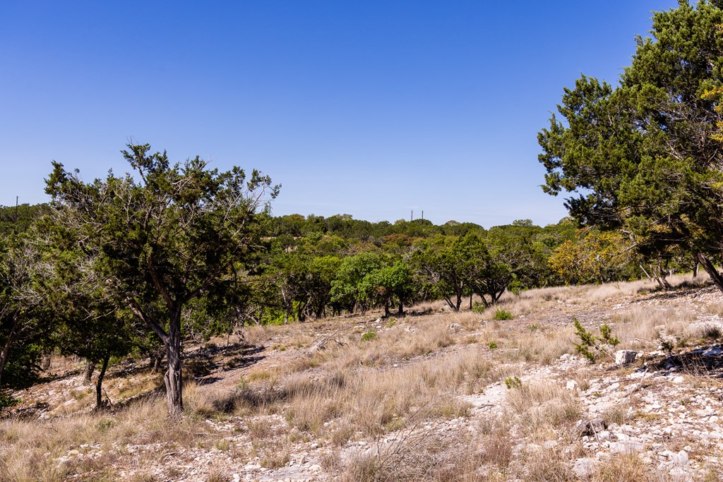 0 Pawnee Path Hunt, TX 78024 - Photo 15 of 32 a view of a dry yard