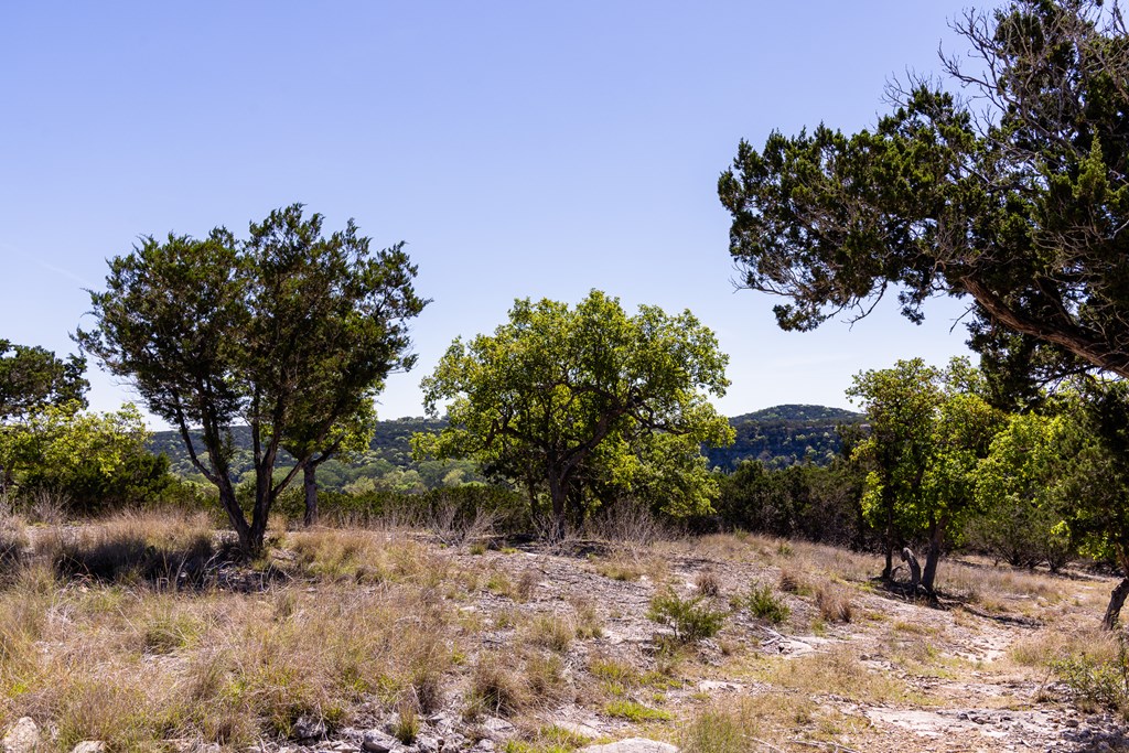 0 Pawnee Path Hunt, TX 78024 - Photo 17 of 32 a yard with a tree