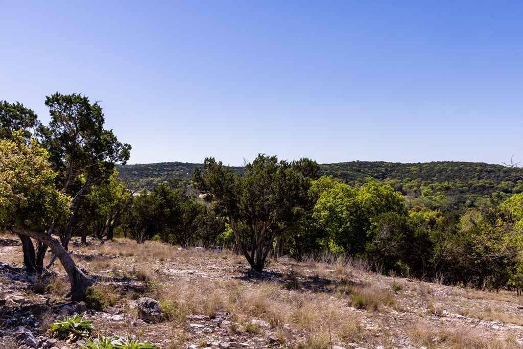 0 Pawnee Path Hunt, TX 78024 - Photo 19 of 32 a view of a mountain with a tree in the background