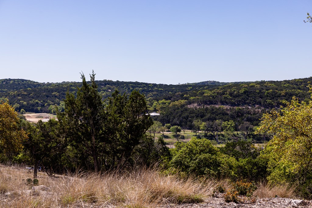 0 Pawnee Path Hunt, TX 78024 - Photo 21 of 32