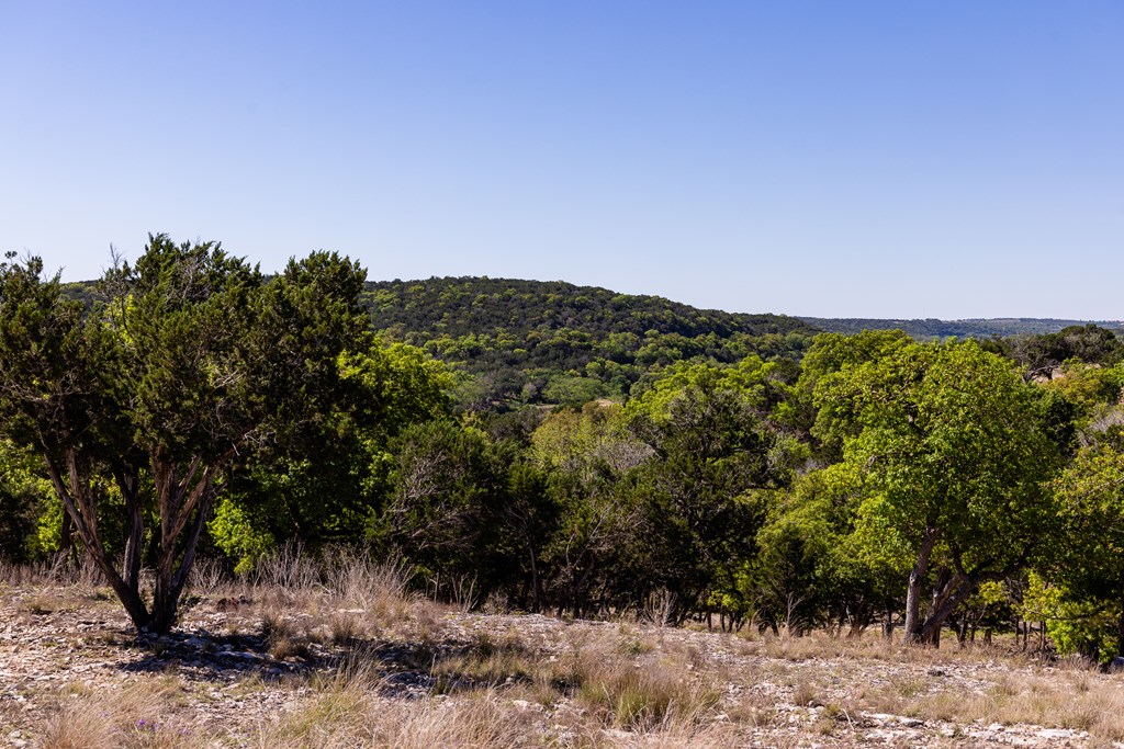 0 Pawnee Path Hunt, TX 78024 - Photo 22 of 32 a view of a field