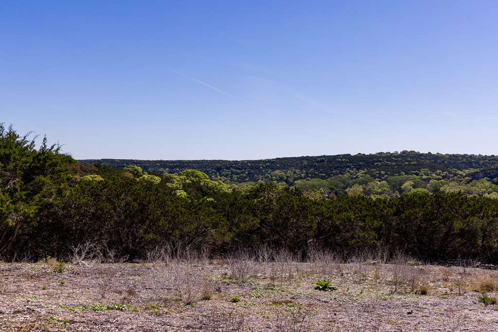 0 Pawnee Path Hunt, TX 78024 - Photo 23 of 32 a view of a yard