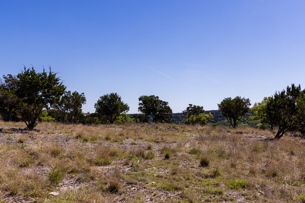 0 Pawnee Path Hunt, TX 78024 - Photo 10 of 32 a view of a dry yard with a tree