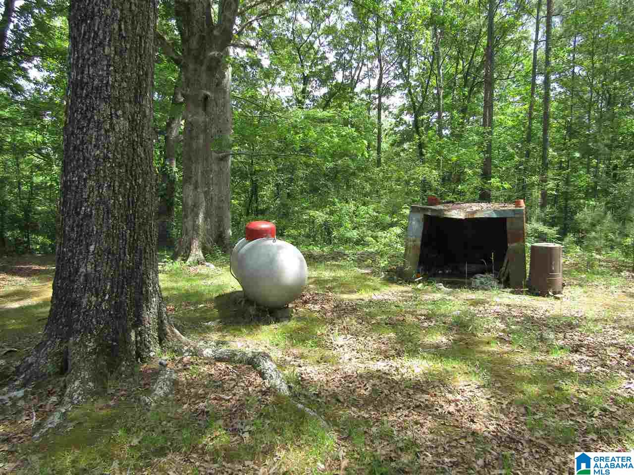 145 Floyd Road Wellington, AL 36279 - Photo 4 of 7
