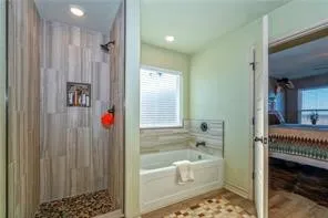 a bathroom with a bathtub and a shower