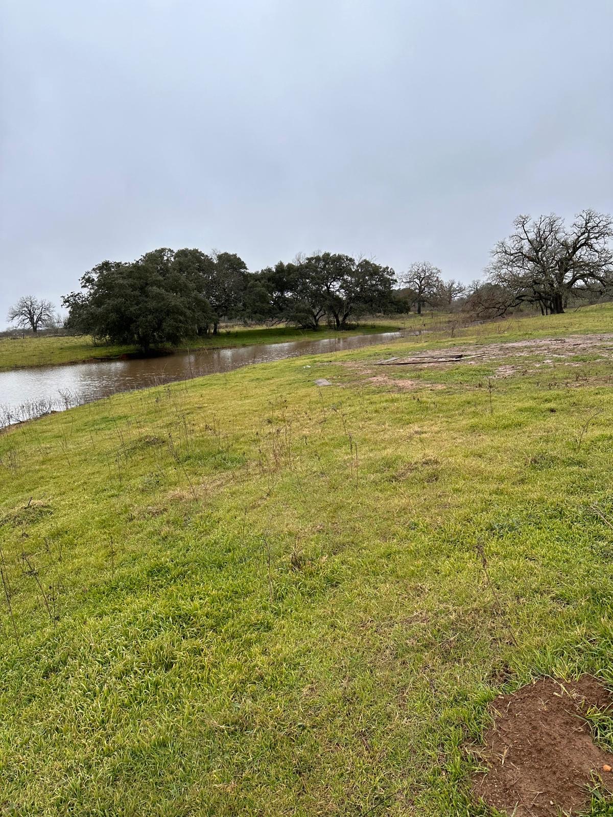 957 Johnson Farms Road Harwood, TX 78632 - Photo 12 of 15 Expansive green landscape with a natural pond