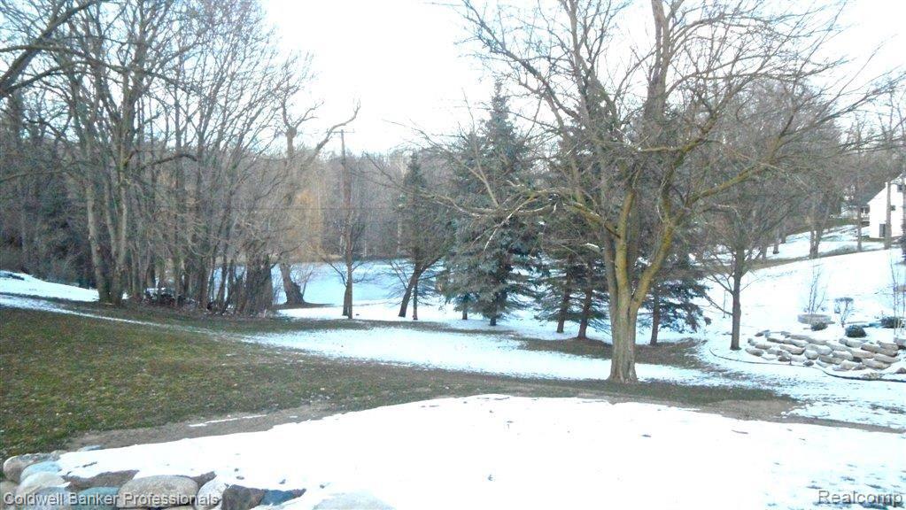 19410 Clement Road Northville, MI 48167 - Photo 20 of 20 SAM_1420.JPG