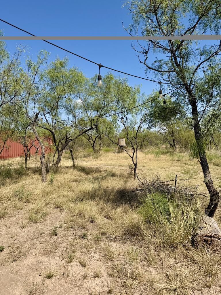 524 South Trap Road, Unit MULT Fort McKavett, TX 76841 - Photo 18 of 20 Gallery Image 18