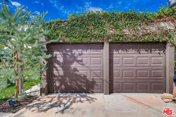 a view of a backyard with plants