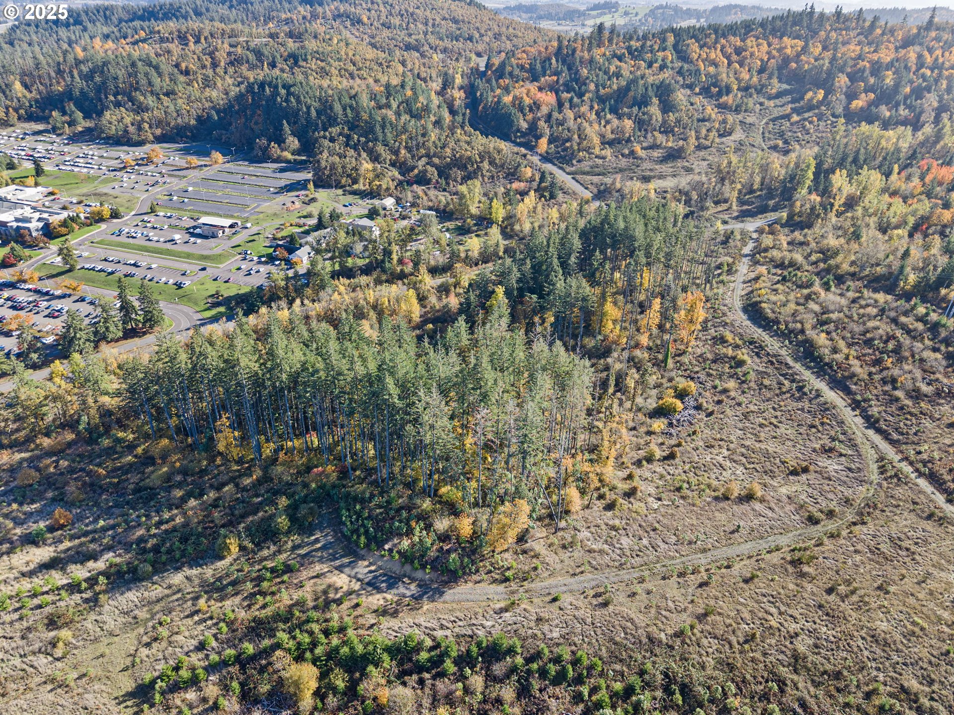 0 Gonyea Road Eugene, OR 97405 - Photo 13 of 37 a view of lot of trees and covered with wooden fence
