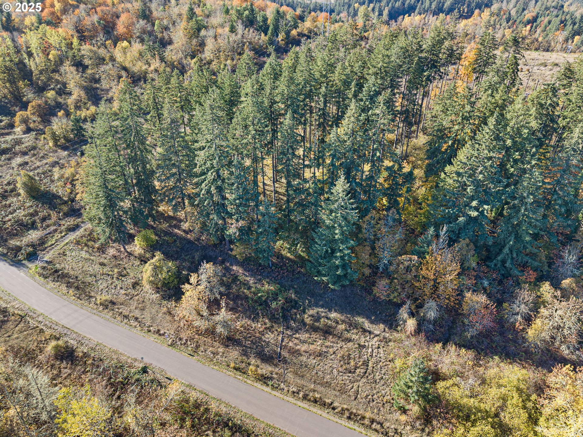 0 Gonyea Road Eugene, OR 97405 - Photo 17 of 37 a view of a yard with a tree