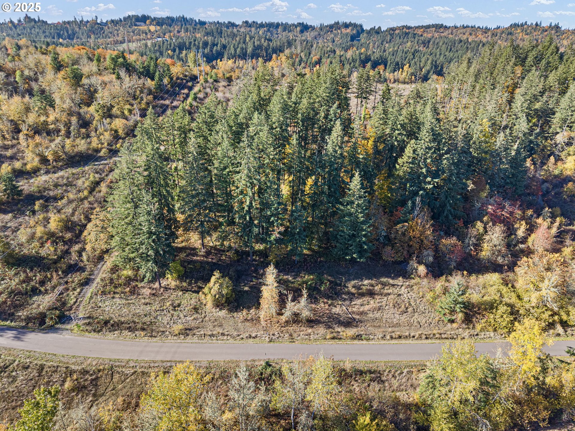0 Gonyea Road Eugene, OR 97405 - Photo 19 of 37 a view of a yard with mountain