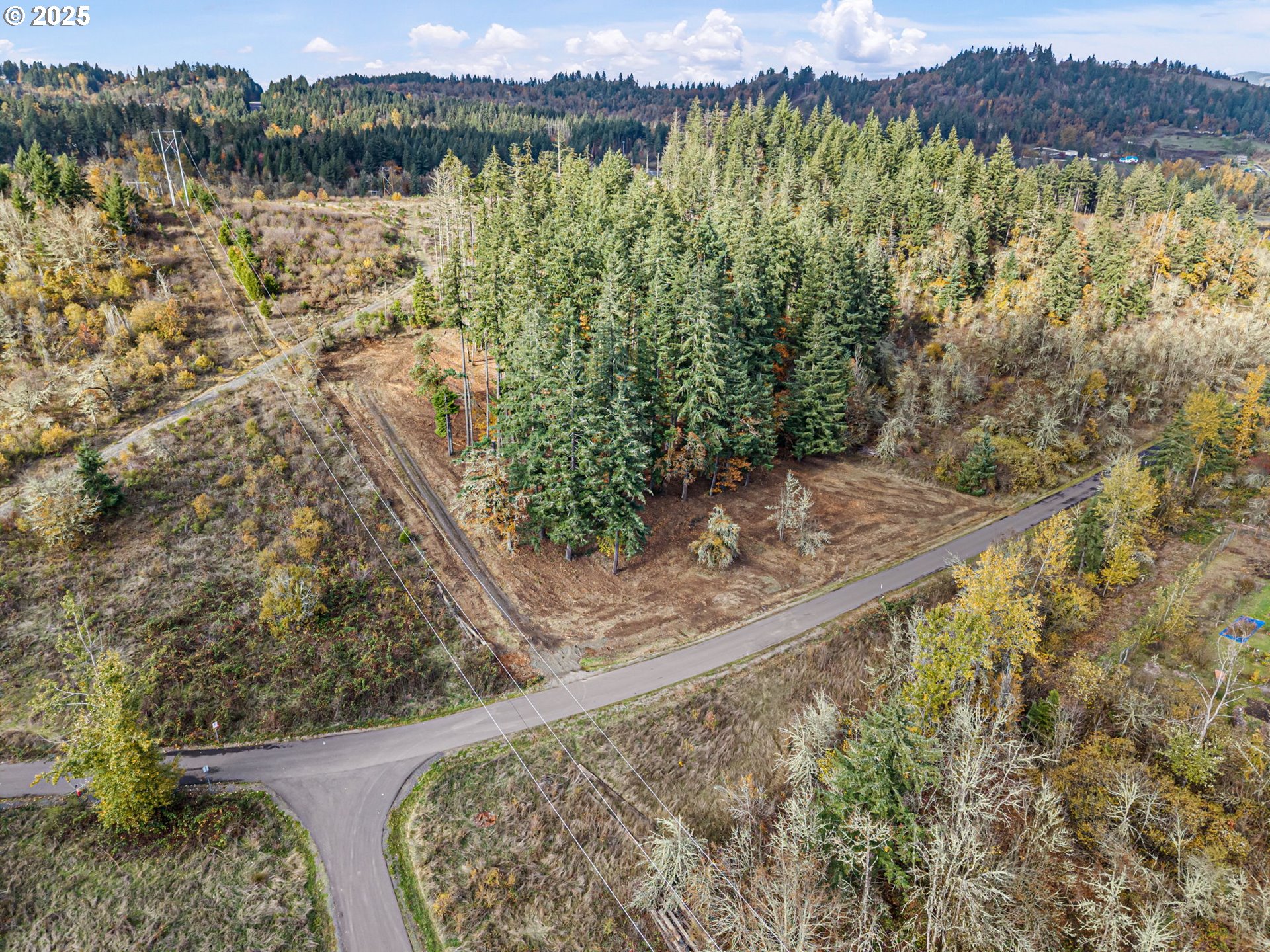 0 Gonyea Road Eugene, OR 97405 - Photo 21 of 37 a view of a lake with a mountain in the background